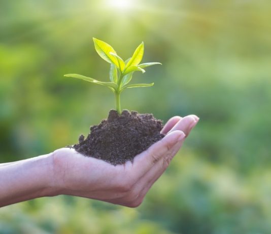 Ecoembes consigue opiniones favorables del proyecto Libera