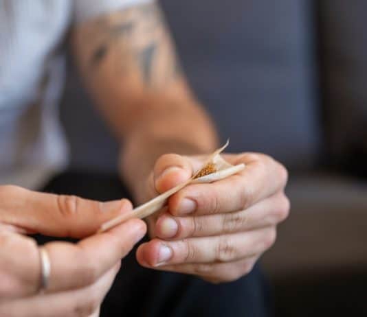 Cuáles son los conos de papel para fumar de Smoking