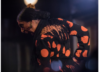 Jardines de Zoraya y las opiniones sobre el mejor espectáculo flamenco de Granada
